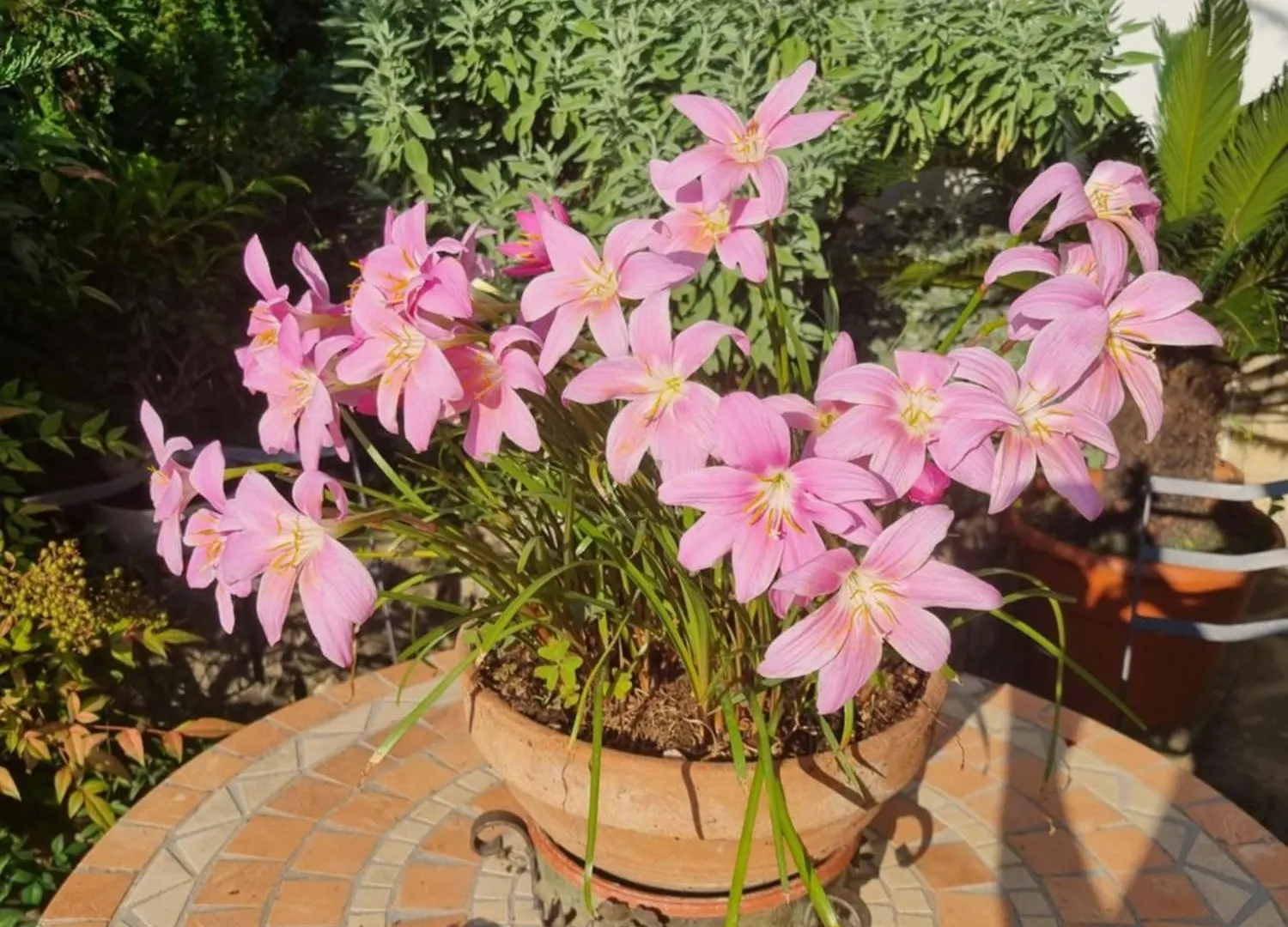 B&B Fontanella Curno